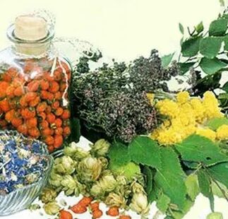 Popular remedies against parasites